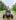 Buggy Ride Through Villages, Rice Paddies & Waterfalls in Munduk North Bali