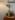 Nature Landscape Creation (Live Plants)