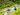 Half-Day Electric Cycling Tour of Ubud