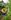 Scavenger Hunt & Sensory Tour in a Hidden Farm | Age: 5+