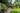 Stay at Rainforest Retreat Villa (8-16 pax)