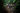 Nepenthes Camp - Ginseng Camp - Ginseng Falls - Ginseng Camp