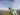 Bir Billing Paragliding