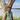 1D1N Safari & Stay (1 Game Drive)