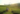 Da Lat Coffee Farm | Organic Coffee & Vegetable Farming **Pick Your Own Coffee Beans | Scenic Hilltop Farmhouse