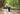 Jim Corbett National Park Safari