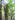 Natural Mystic Sanctuary - Sinharaja Forest Reserve - Natural Mystic Sanctuary
