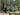 Sapa town -Tram Ton pass - Fansipan - Tram Ton pass-Sapa town