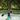 Kerala Backwaters Paddle Boarding