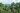 2D1N Kinabatangan River Safari & Hilltop Jungle Retreat **Helpful hosts, delicious food