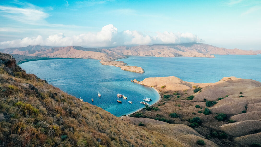 11 Best Diving in Labuan Bajo (Komodo) in 2023 - Seek Sophie