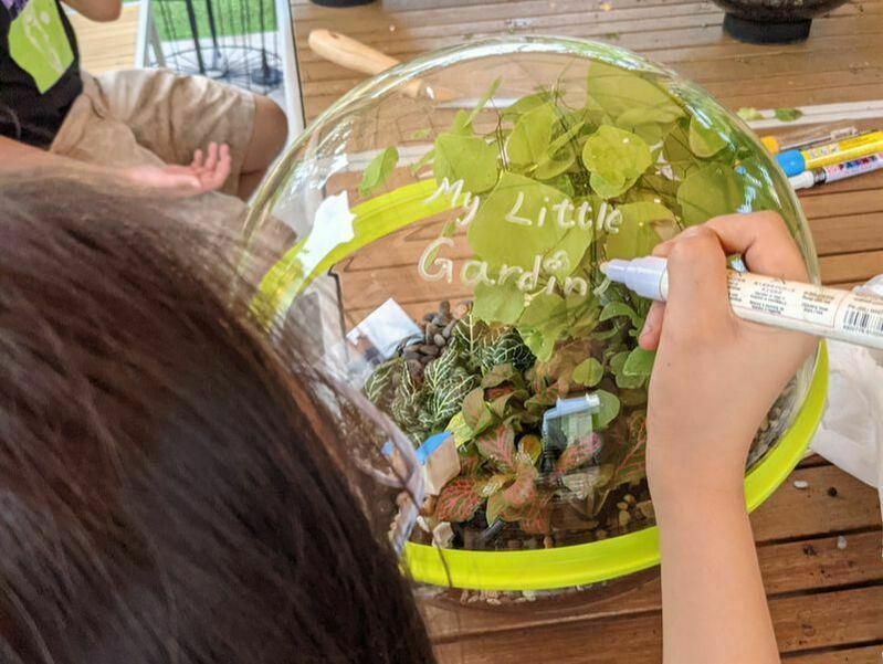 The Unexpected Build a Giant Globe Terrarium on a Rooftop Farm One