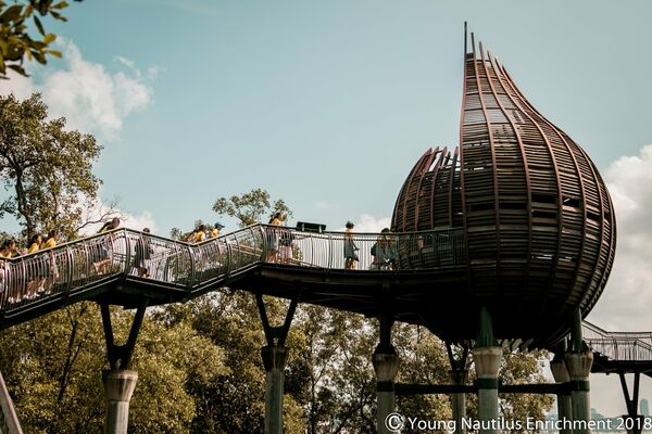 Mangrove Exploration @ Pasir Ris or Sungei Buloh (Age: 2+)