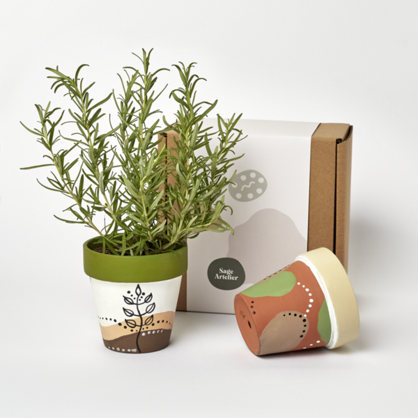 [Gift Box] Growing Joy: Grow a Plant and Paint Your Own Pot | Seek Sophie