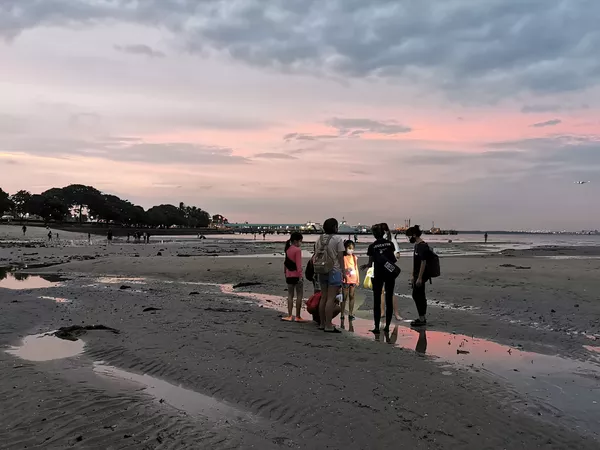 Marine Scientist Day Camp (4-hr) | Intertidal