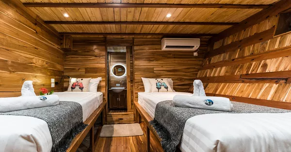 Panda 游船 - 标准舱 1