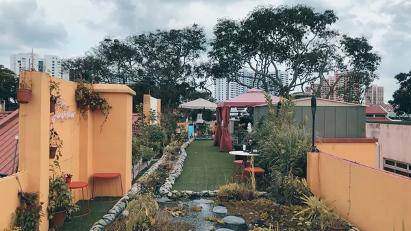 Paper Marbling / Art Jam on a Rooftop Garden! (Child-friendly!)