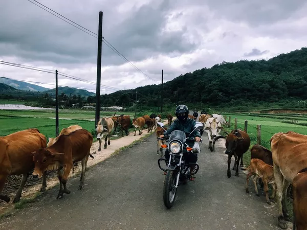 BMT city – Nha Trang ( 200km)