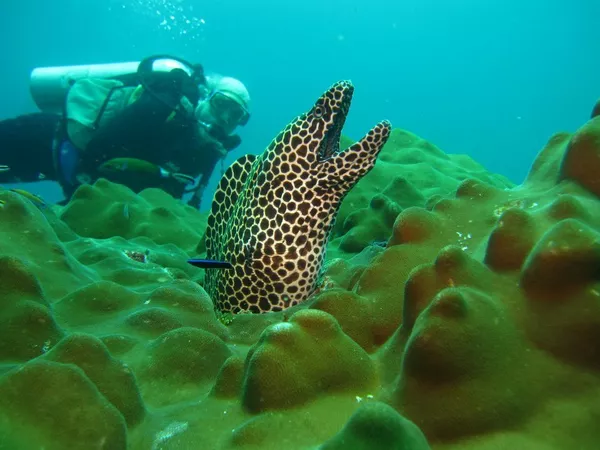 3-Day PADI Open water course