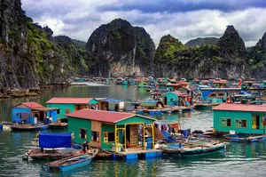 Brightly coloured houseboats and boats in Cat Ba harbour with looming limestone cliffs, on a 3D2N Cat Ba cruise