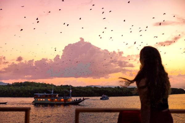Fruit bats in flight over calm water at sunset with a tour boat in view near Rinca, Labuan Bajo