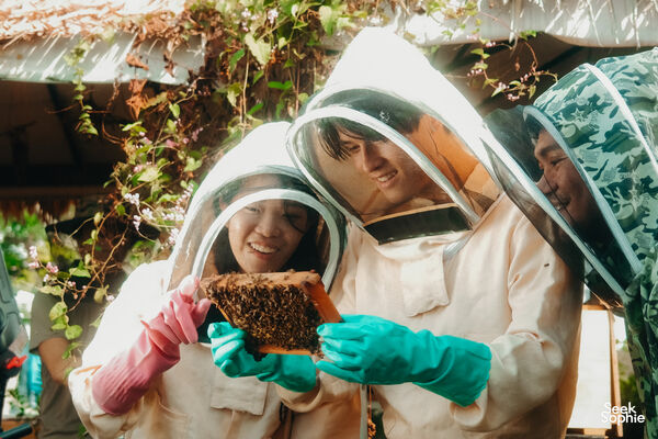 Secret Urban Farm, Rescued Bees + Honey Tasting
