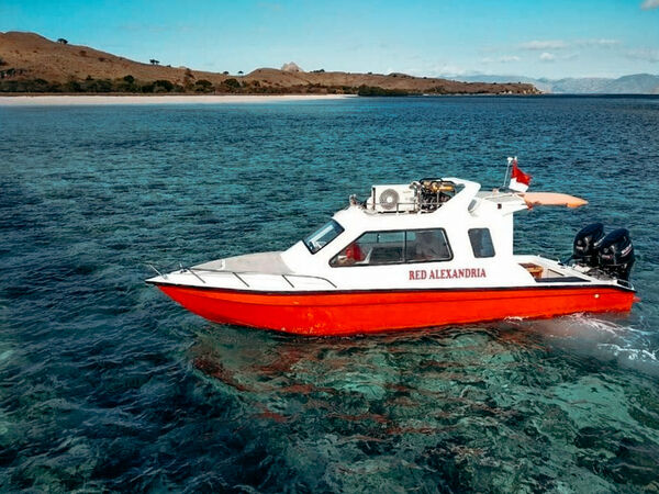 Red Alexandria speedboat gliding over turquoise water on a 1-day private Komodo trip with Alexandria Cruise, Komodo Island