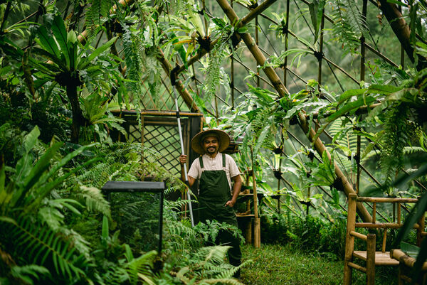 Bali garden worker standing in a lush bamboo-and-fern area, surrounded by dense greenery in a tropical setting