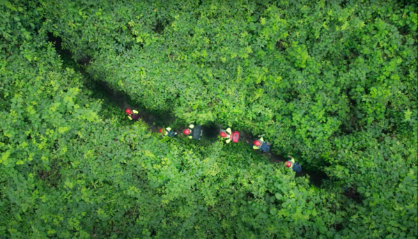 Phong Nha Kid-Friendly Jungle Trek | 24K Gold Cave, Paddleboarding & Water Fun