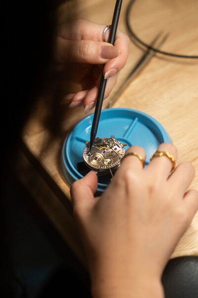 Build Your Own Watch Movement with Swiss Master Watchmaker