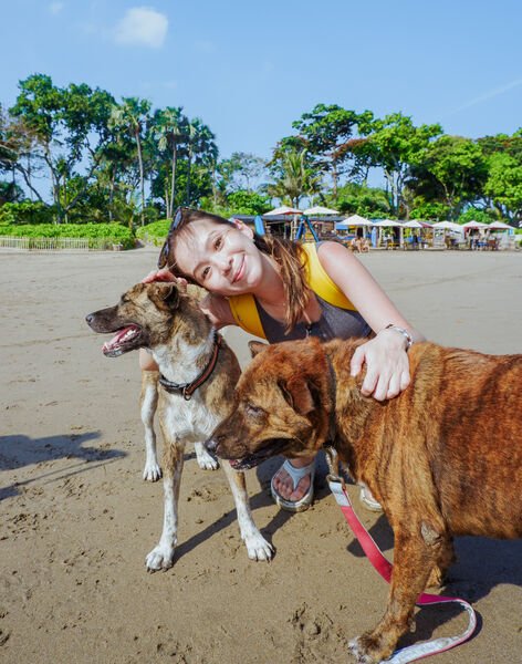 Woman greeting and caring for rescued dogs on a sandy beach in Bali with Bali Conservation Adventures conservation team