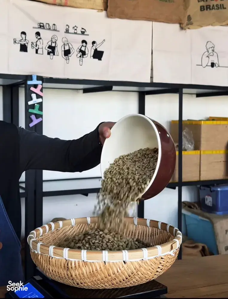 Green coffee beans being poured from a metal scoop into a woven basket during a specialty coffee workshop in Lijiang