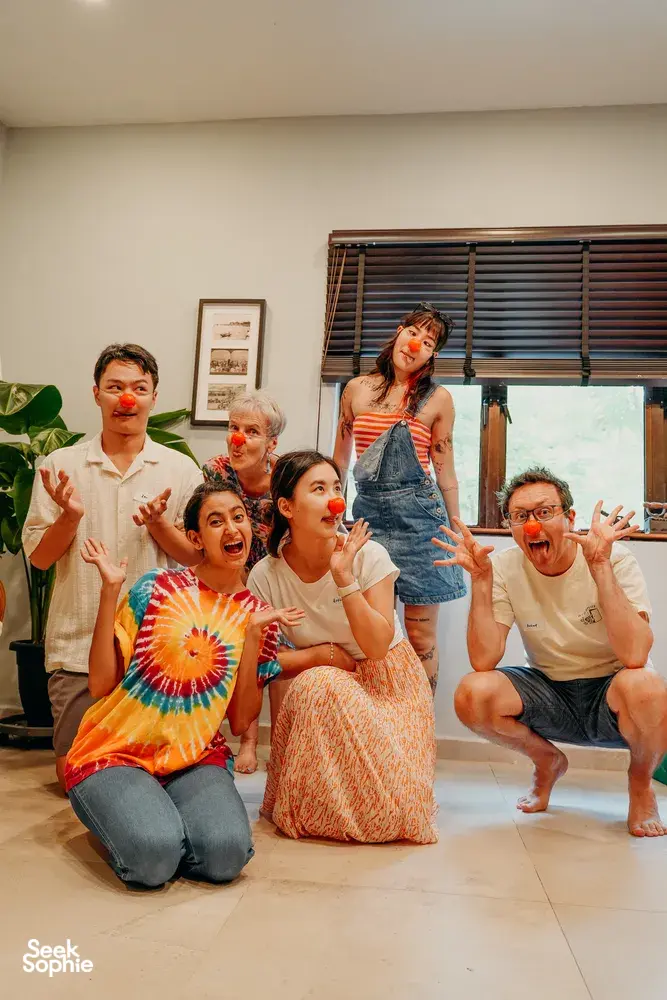 Seek Sophie option picture