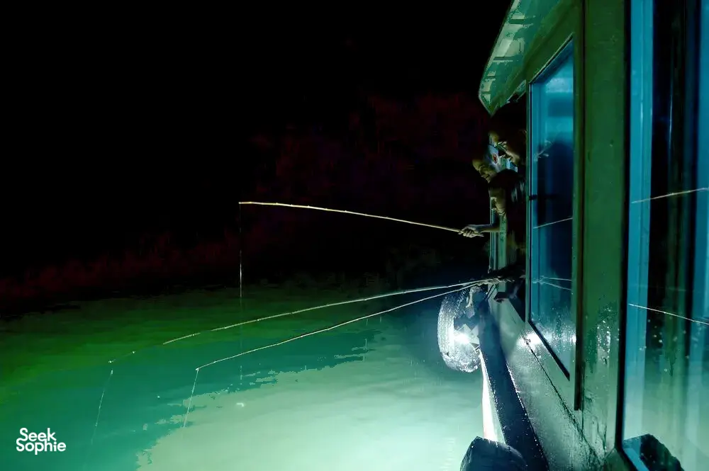 Seek Sophie option picture