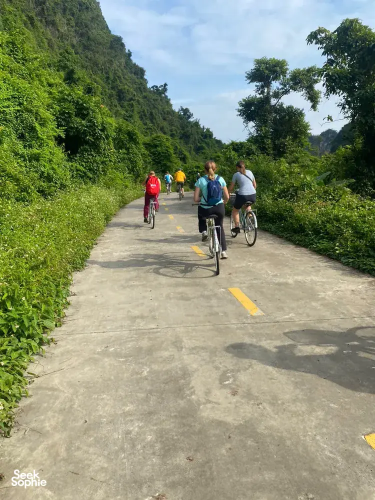 Seek Sophie option picture