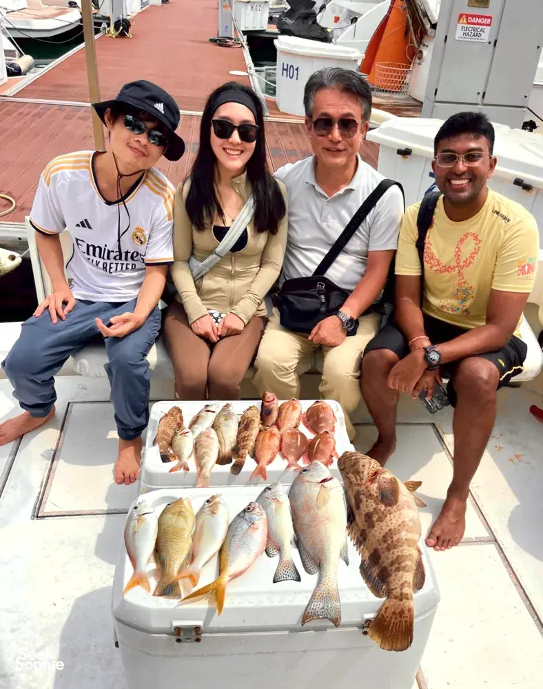 Seek Sophie option picture