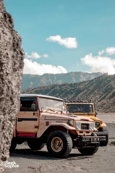 Bromo Day Trip | From Surabaya/Malang