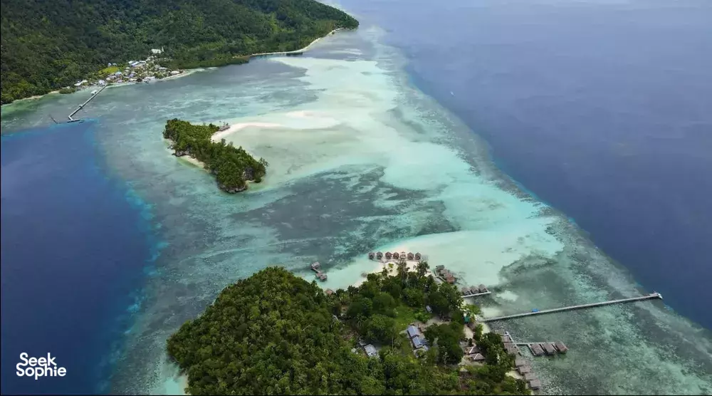 Seek Sophie option picture