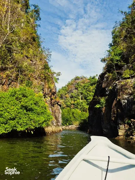 View from the boat cruising between towering limestone cliffs and mangroves in Kilim Geoforest, Langkawi