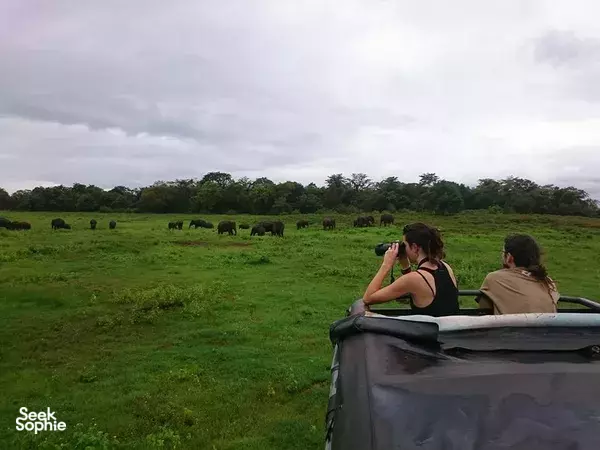 Kaudulla Private Morning Safari (Pick up from Sigiriya or Habarana)