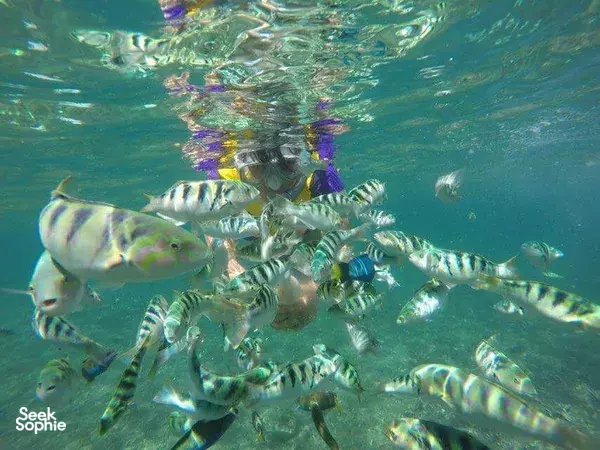 巴东拜蓝湖浮潜