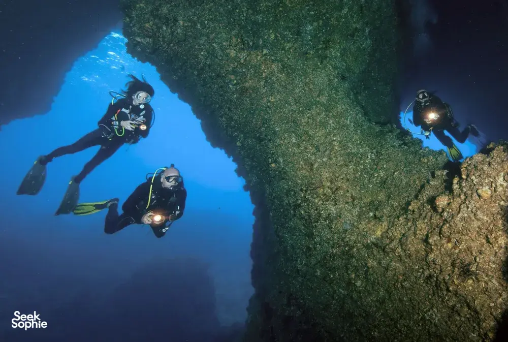 Seek Sophie option picture