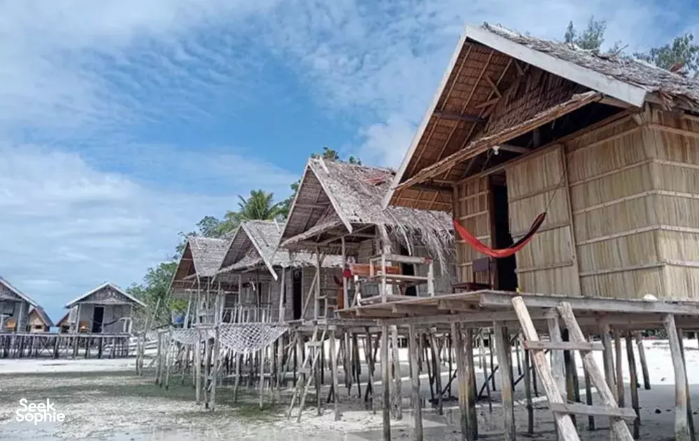 Seek Sophie option picture