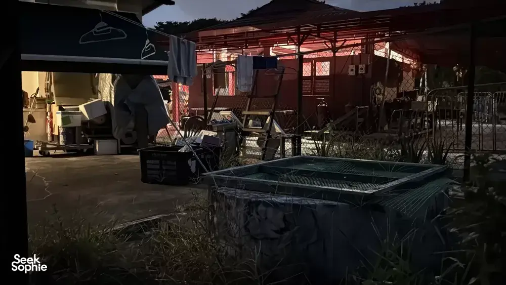 Seek Sophie option picture