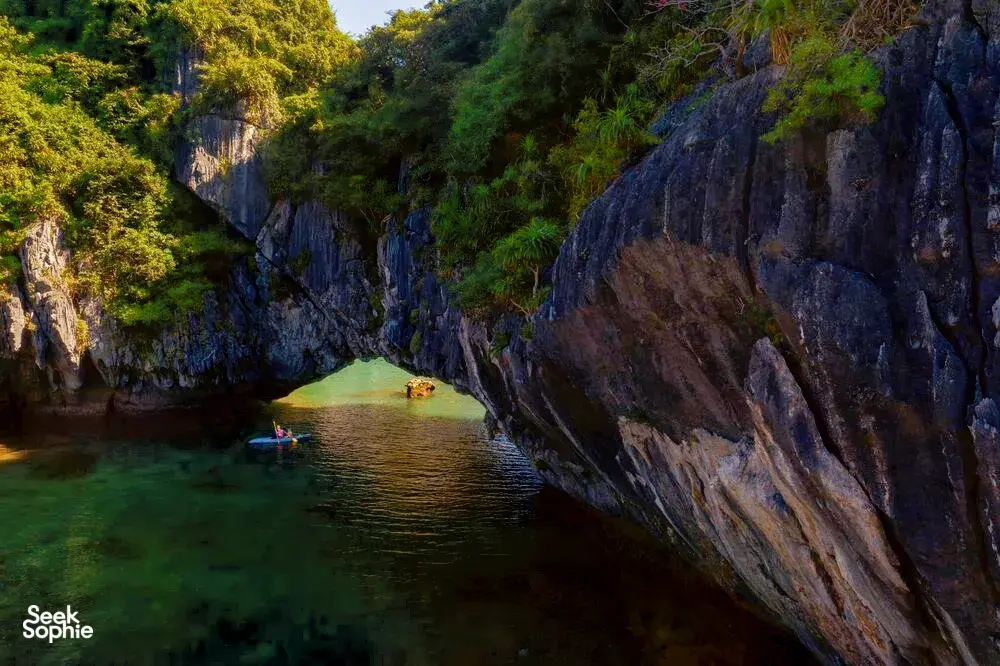 Seek Sophie option picture