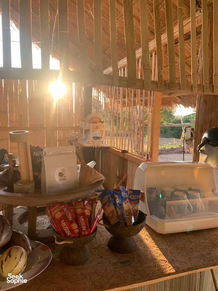 Seek Sophie option picture