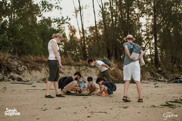 Group standing and sitting on a sandy tidal beach ecosystem during an intertidal walk on Singapore’s coast—Singapore hidden gems
