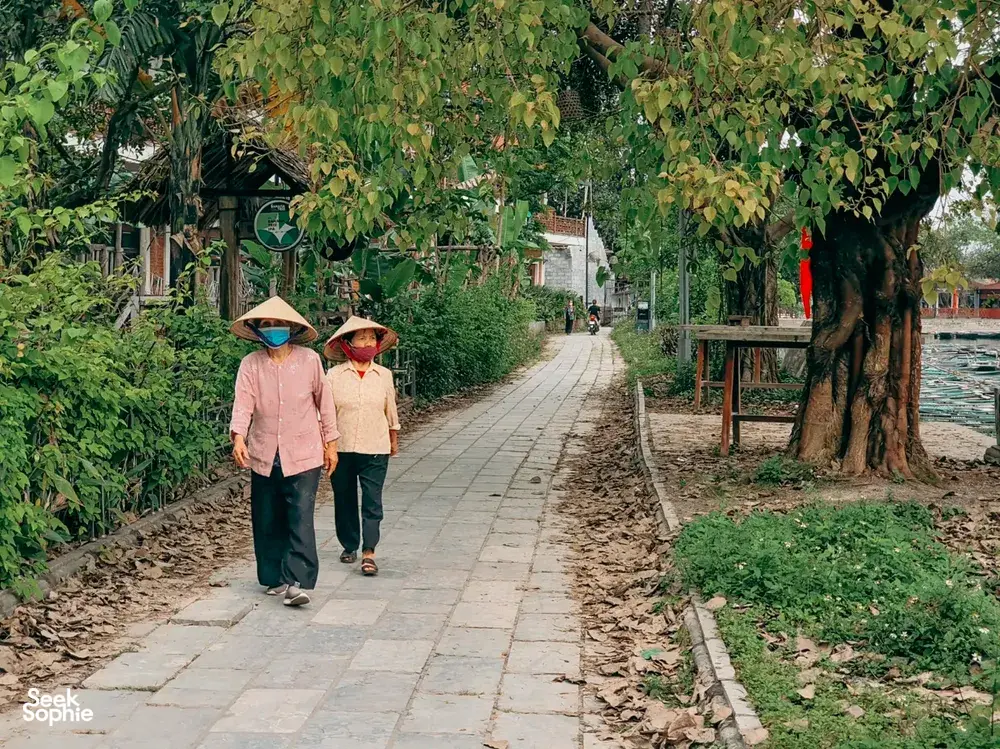 Seek Sophie option picture