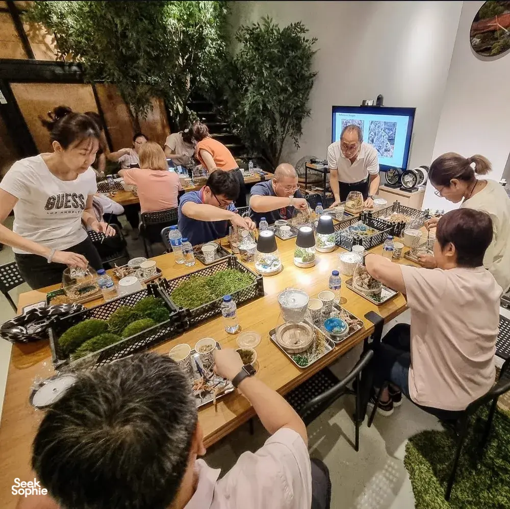 Seek Sophie option picture