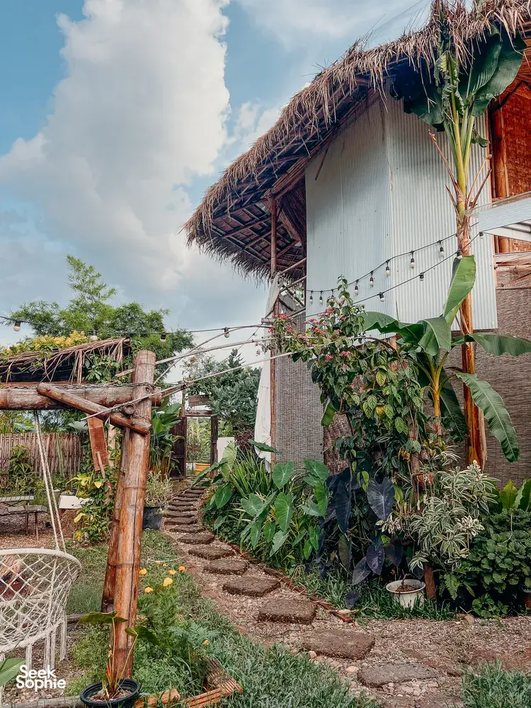 Seek Sophie option picture